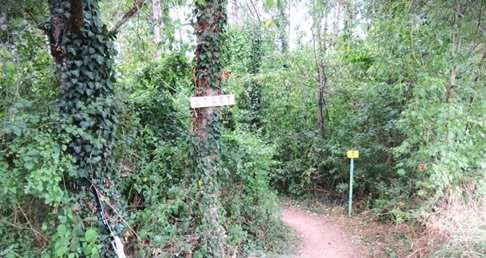 3D Bogen Deutsche Meisterschaft Bad Kreuznach